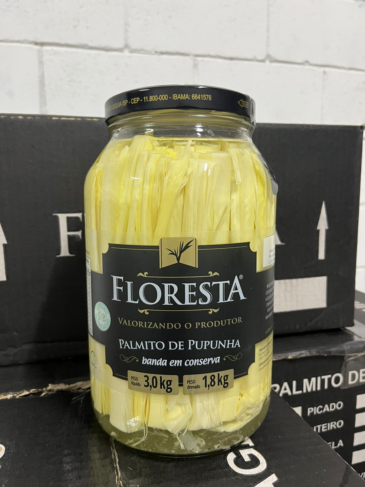 WhatsApp Image 2025-09-23 at 15.06.00 (1).jpeg